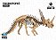 Triceratopes - Coleção Dino 3D - Imagem 3