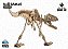 Alossaurus - Coleção Dino 3D - Imagem 2