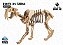 Dente de Sabre - Coleção Dino 3D - Imagem 2