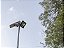 Refletor Led Solar Tr Sun 100w 6500k Preto-Der/02 Preto - Imagem 5