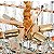 PENDENTE CRISTAL KOINE ON 26* 80CM 12*E14 OURO BRILHO - Imagem 6