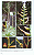 ALCANTAREA GIANT BROMELIADS FROM BRAZIL - Imagem 2