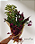 CONE SILVESTRE – Flores tropicais e folhagens - Imagem 1