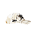 OMA DESIGN STUDIOS - Boné NY NY Realtree "Snow Camo" -NOVO- - Imagem 2