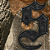 SUPREME - Calça Leather Appliqué Double Knee Painter "Realtree Hardswoods Camo" -NOVO- - Imagem 3