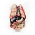 SUPREME - Adesivo FW18 Guts Organs Raw Lungs -NOVO- - Imagem 1