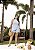 Conjunto Blusa Assimétrica e Short Quality Moda Plus Size rml - Imagem 6