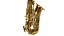 Saxofone Alto SGFT6430L Shelter - Imagem 3