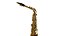 Saxofone Alto SGFT6430L Shelter - Imagem 2