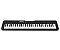Teclado Casio Teclas Sensitivas Preto Cts300c2 BR - Imagem 1
