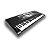 Teclado Arranjador Pegasus P-222 61 Teclas - Imagem 1