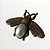 Broche Inseto Perolado - Imagem 2