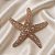 Broche Estrela do Mar com Pérolas - Imagem 1