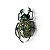 Broche Escaravelho Cravejado Verde - Imagem 1