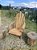 Cadeira Adirondack Pavão Madeira de Lei de Demolição - Imagem 6