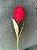 Haste Tulipa Artificial Tecido - Imagem 5