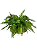 Arranjo Samambaia Artificial de Toque Real - Imagem 1