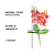 Mini Orquidea C/ Folha Artificial - Imagem 2