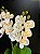 Mini Orquidea C/ Folha Artificial - Imagem 6
