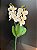 Mini Orquidea C/ Folha Artificial - Imagem 5