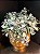 Arranjo Mini Buxinho Artificial Decor - Imagem 4