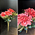 Buquê Crisântemo Artificial Decor - Imagem 4