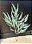 Haste Folhagem Artificial Decor - Imagem 3