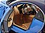 Bugatti Chiron 1:24 Welly Azul - Imagem 4
