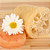 Bucha Vegetal P - Imagem 1