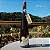 Azeite Artesanal 500ml - Monasto - Imagem 1