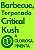 Barbecue Terpenado Critical Kush 300ml - Gloriosa Pimenta - Imagem 1