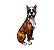 CERAMICHE BOXER | Escultura de Boxer - Imagem 1