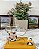 Caneca Vidro c Pires,“Pure Milk”+Colher–Detalhe 3D Vaquinha - Imagem 1