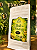 Erva-Mate Saborizada - Mate de Maracujá 250g - Imagem 2