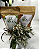 Kit Presente Chá Artesanal – Prosa Abacaxi+Morango e Laranja - Imagem 4