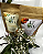 Kit Presente Chá Artesanal –Prosa Morango e Laranja+Maracujá - Imagem 3