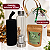 Garrafa Infusora 500ml com Chá de Cereja 30g - Imagem 3