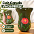 Cuia Canudo Verde Militar Flor Laranja Pintada à Mão - Imagem 2