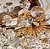 Plafon Sobrepor Ø45X30CM E14X8 Cristal Transparente E Alumínio Dourado - Imagem 3