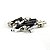 Conector Óptico SPX SM 9/125µ ST-PC (2mm) - Imagem 5