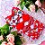 Kit 6 laços de bebê Lacinhos de Bebe Faixinha cabelo infantil Baby Red - Imagem 5