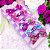 Kit 6 Mini Lacinhos de Bebê Faixinha Maternidade Tiarinha RN Baby Lilac - Imagem 5