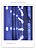 Cortina com 360 LEDs Branco Frio 8 funções fio de Fada PVC 3m x 3m bivolt. - Imagem 6