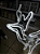 Armação De Rena Neon macho Branco Frio com movimento 220V IP44 uso externo. - Imagem 6