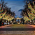8 Tubos snowfall 384 super Leds colorido dupla face 50cm (3528) uso externo IP44 bivolt. - Imagem 7