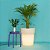 Luminária Cachepot Vaso 50 Externo Ø55x48cm Polietileno Branco. - Imagem 3