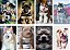 Kit Imas Decorativos Dogs 9x6  com 24 und - Imagem 1