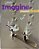 Imagine 2 - Workbook - Imagem 1