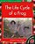 The Life Cycle Of A Frog - Learn Abouts - Imagem 1