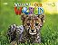 Welcome To Our World American 3 - Teacher's DVD - Imagem 1